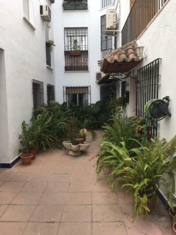 Апартаменты El Rincon De La Juderia Кордова Экстерьер фото